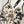 CC BIKINI SWIMSUIT SET IN IVORY MESH WITH BLACK VELVET FLORAL EMBROIDERY 622181