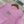 CHANEL FITTED SHORT-SLEEVE KNIT TOP 276498