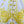 ROBE COURTE ZIMMERMANN BRODÉE À MANCHES COURTES 270269