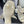 CC 26s Sandals 55 White Sheepskin 650079