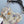Zimmermann 2026 Dress 5690
