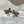 CC Crystals Black Enamel Bow Gold Earrings