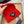 BEANIE HAT IN CHERRY RED WOOL 431358