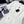 PRADA 25S CREW NECK SHORT-SLEEVE DRESS 350