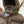 PRADA 25S DOWN JACKET 429