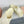 Cross Thick-Soled Light Cream Slippers