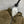 PRADA 25S SUEDE DOWN VEST 386