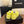 Baskets décontractées CC 26s en cuir jaune 183618