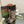 Gucci 2026 Boot Brown mix Beige Canvas Leather 911944