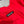 Miumiu 2026 Dress Red Cotton 356932