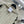 CHANEL 25S ZIPPERED CARDIGAN STYLE 115