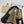 BURBERRY 25S NOTCHED-COLLAR JACKET 249