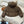 PRADA 25S DOWN JACKET 429