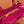 ARCADIE BAG 22 IN FUCHSIA SUEDE GOLD HARDWARE