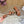 CE 26s Triomphe Block Heel Mules In Cognac Calfskin