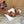 CE 26s Triomphe Block Heel Mules In Cognac Calfskin