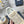 C'est Dior Sneaker 35mm Beige Cowhide