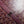 BELVEDERE MM BAG 28CM BURGUNDY CANVAS