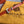 BELVEDERE MM BAG 28CM ORANGE CANVAS