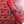 BELVEDERE PM BAG 21CM RED CANVAS