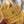MINI HOBO BOHEME 38CM YELLOW CANVAS
