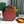 BORSA TRUNK ALTO HATBOX 18CM IN TELA ROSSA