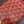 BORSA MINAUDIERE TRUNK 17CM TELA ROSSA