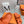Chypre Sandal Orange