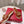 Vlogo Slippers Burgundy