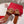 Vlogo Slippers Burgundy