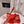 Toile Iconographe Slide Sandal Red Beige