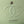 Medium Classic Flap Bag 23cm Light Green Lambskin Silver Hardware