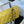 Medium Classic Flap Bag 23cm Yellow Caviar Silver Hardware