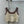 Miu Beige Tank Top and Skirt