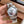 EXPLORER STAINLESS STEEL OYSTER BRACELET
