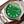 OYSTER PERPETUAL 41 STAINLESS STEEL GREEN DIAL