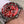 SUBMARINER DATE 40 RED DIAL