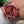 SUBMARINER DATE 40 RED DIAL