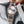 SEAMASTER QUARTZ 33MM TWO-TONE GREY DIAL