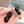 miu dad sandal black calfskin