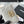 ALV Victorine 19 Zipped Coin Purse Lambskin